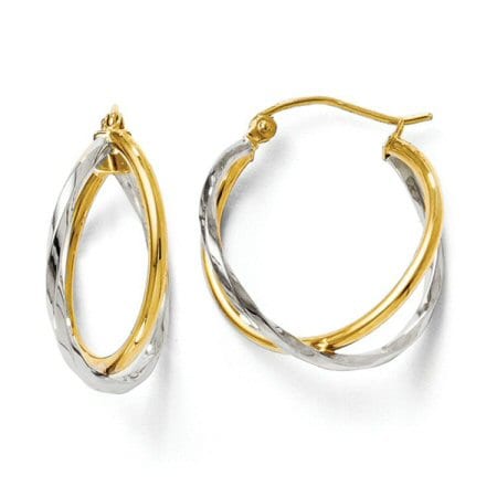 Double Hoop Earrings